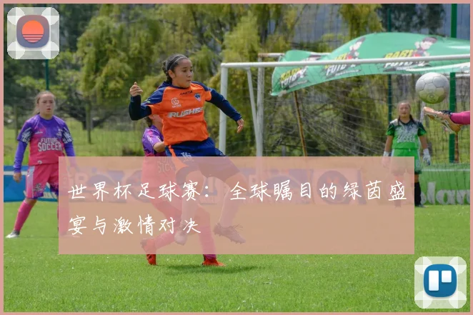 世界杯足球赛:全球瞩目的绿茵盛宴与激情对决