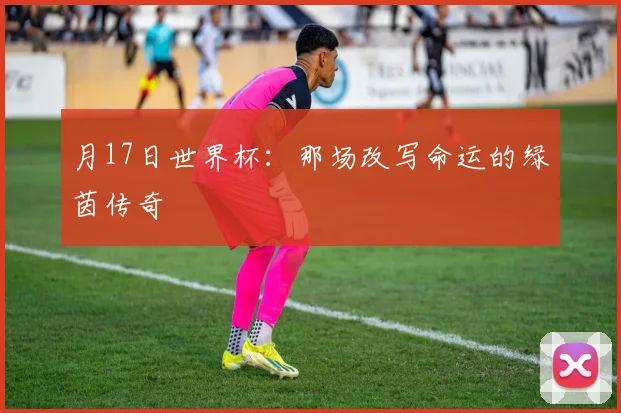 月17日世界杯：那场改写命运的绿茵传奇